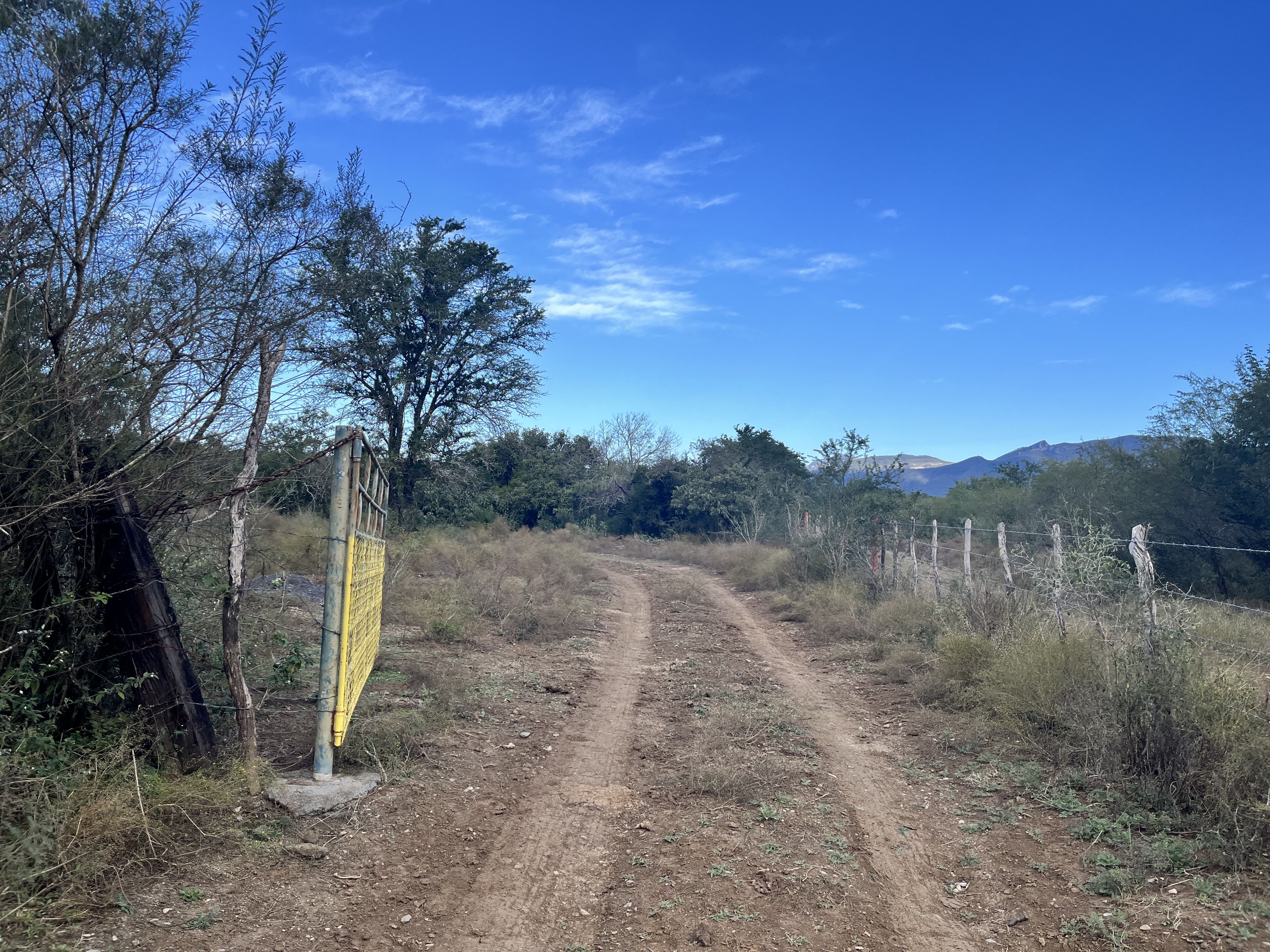 Terreno en Dr. González N.L.