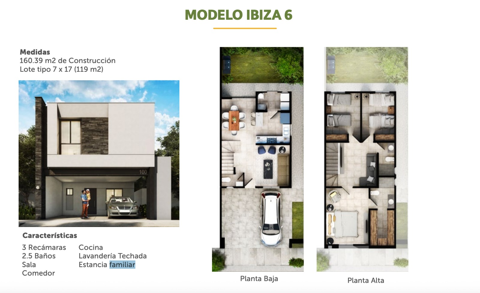 Imagen 9