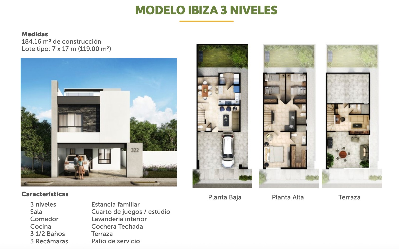 Imagen 10