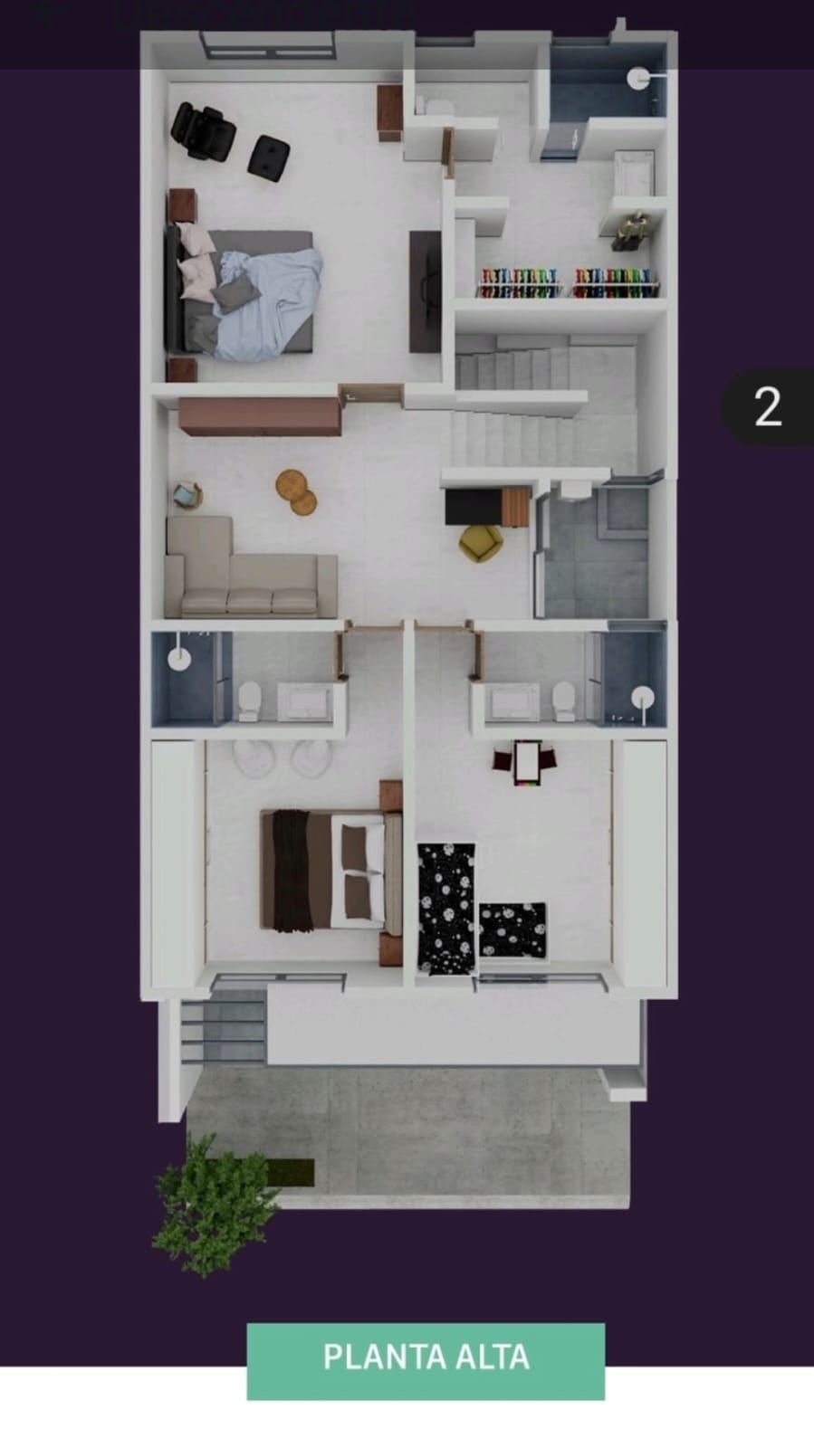 Imagen 19