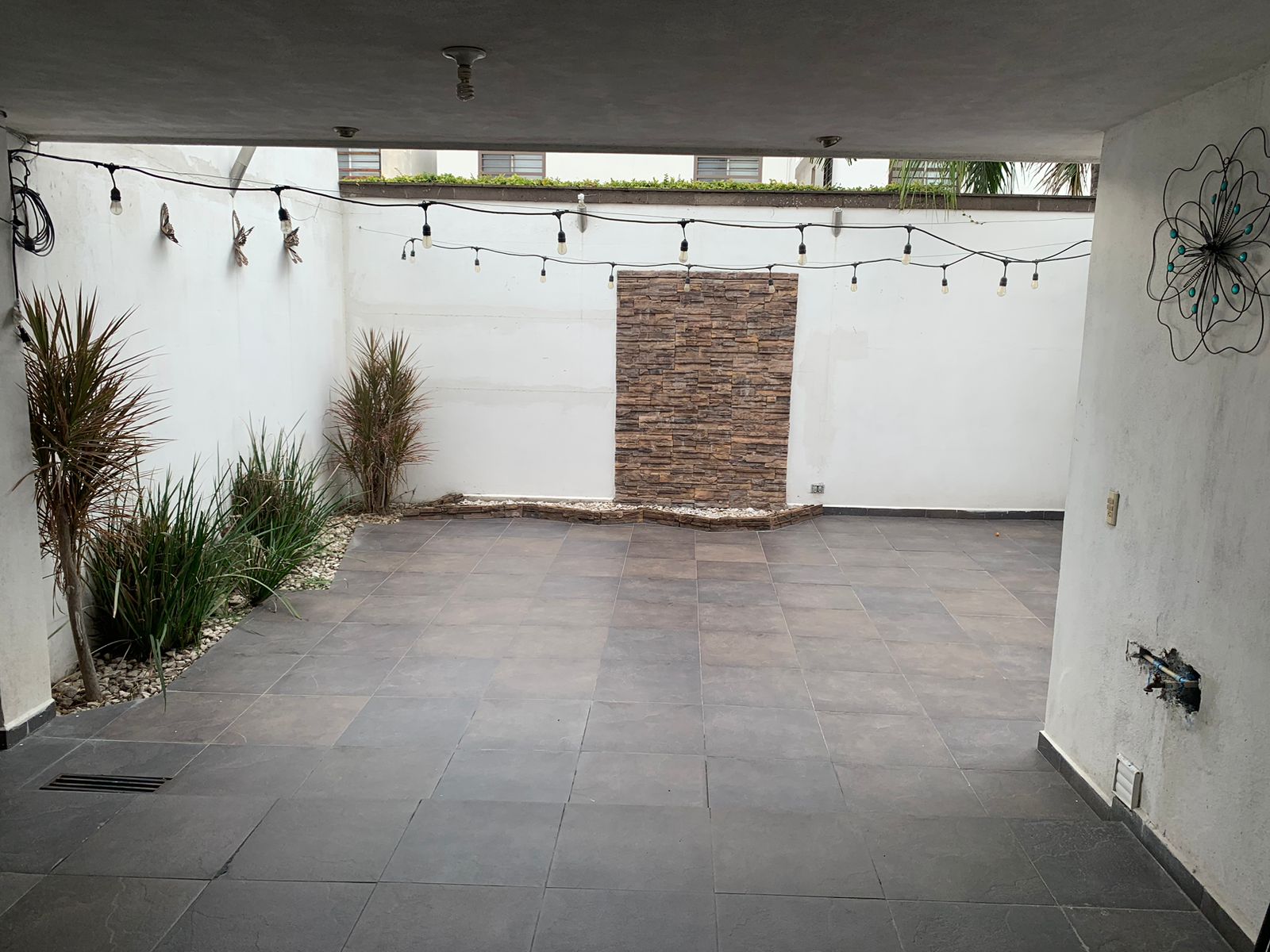 Imagen 20